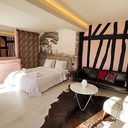 Apartment Hyper Centre 55 M2, La Glamour 5* *